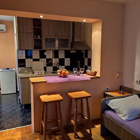Apartman Ristic Нішка-Баня Екстер'єр фото