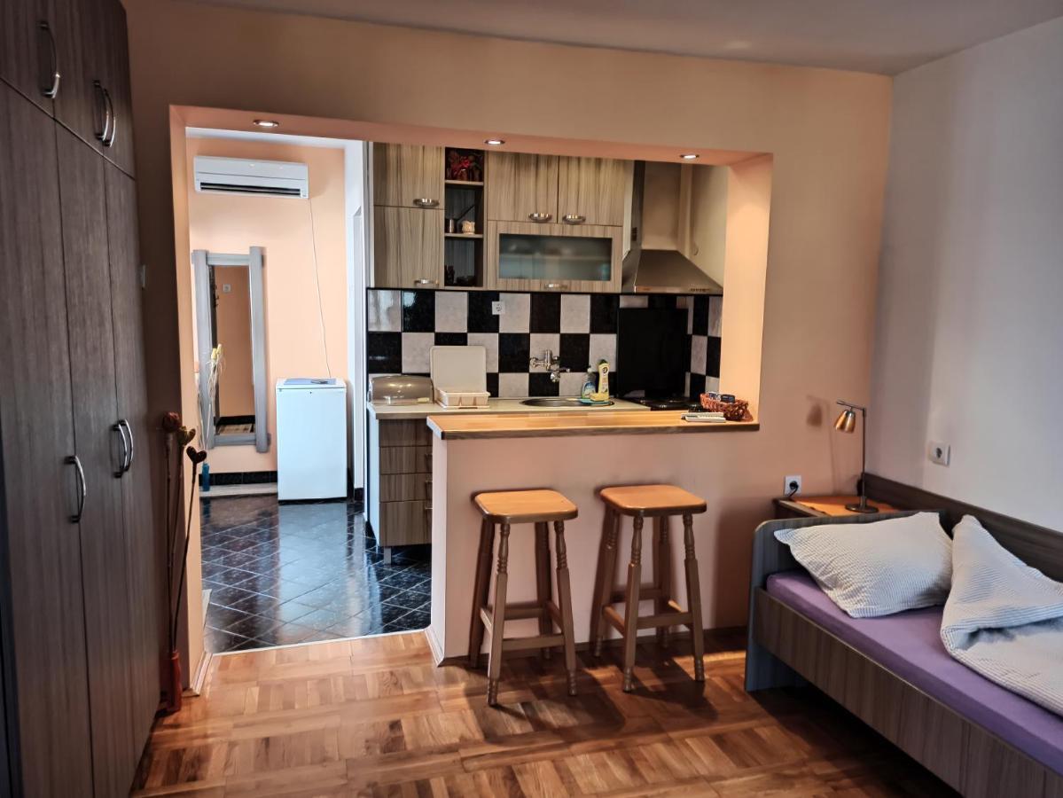 Apartman Ristic Нішка-Баня Екстер'єр фото